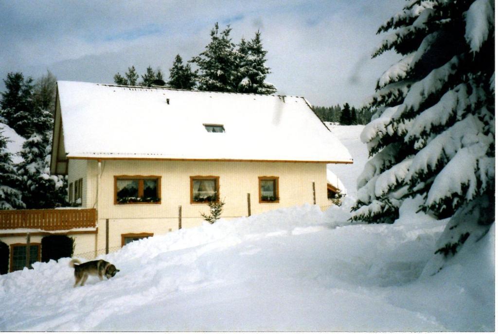 Haus Talblick Appartamento Ibach Esterno foto