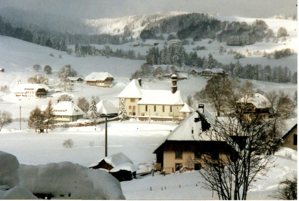 Haus Talblick Appartamento Ibach Esterno foto