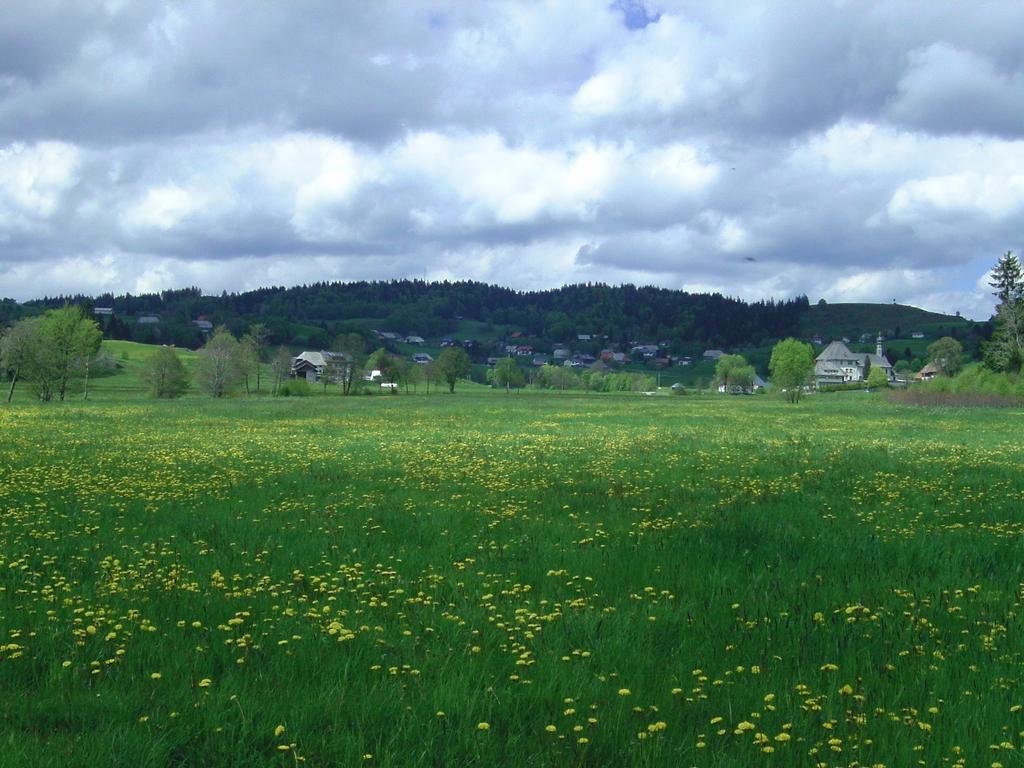 Haus Talblick Appartamento Ibach Esterno foto